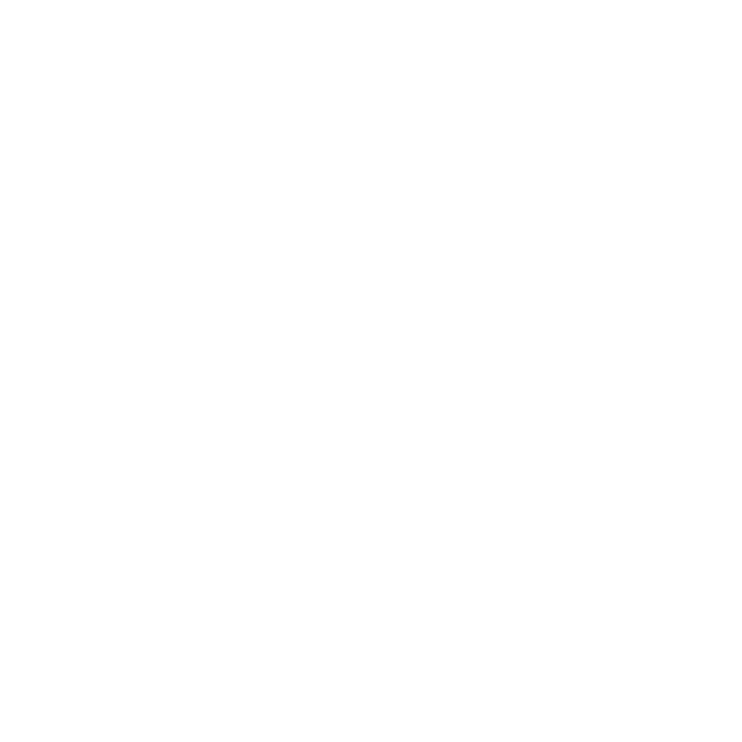 Seta